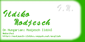 ildiko modjesch business card